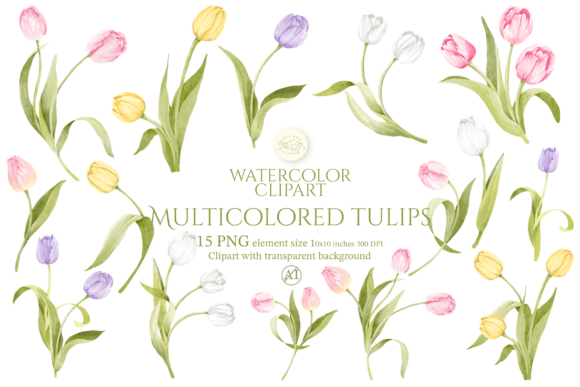 Download Watercolor Multicolored Tulips Clipart - Red Collection